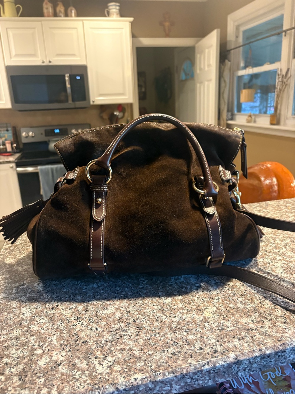 Dooney & Bourke Brown Suede Satchel with Tassel Detail Florentine - Picture 5 of 8